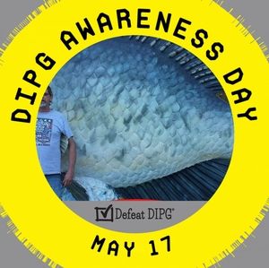 Meet your Posher, Don